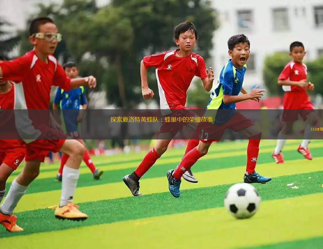 探索夏洛特黃蜂隊：蜂巢中的榮耀故事